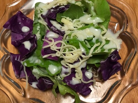 紫キャベツとサラダ菜、細切りチーズのシーザーサラダ